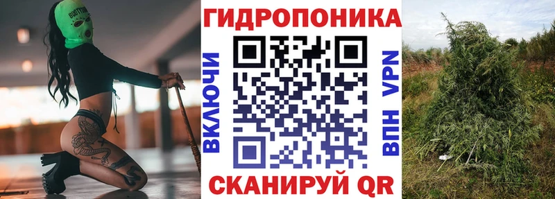 МАРИХУАНА сатива  сайты даркнета клад  Агрыз  наркотики 